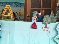 img (7)